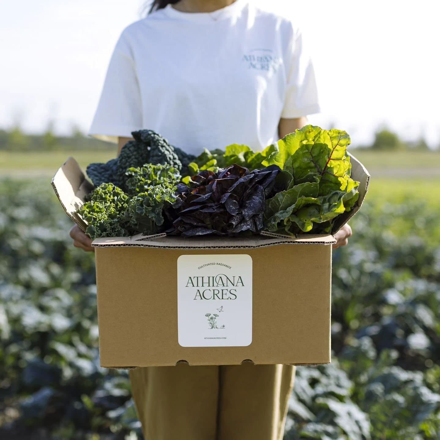 The Sharing Farm The Sharing Farm