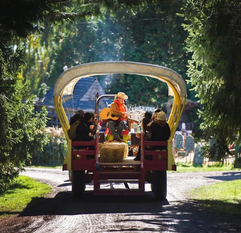 Hop aboard a wagon ride at the Richmond Country Farms Pumpkin Patch.