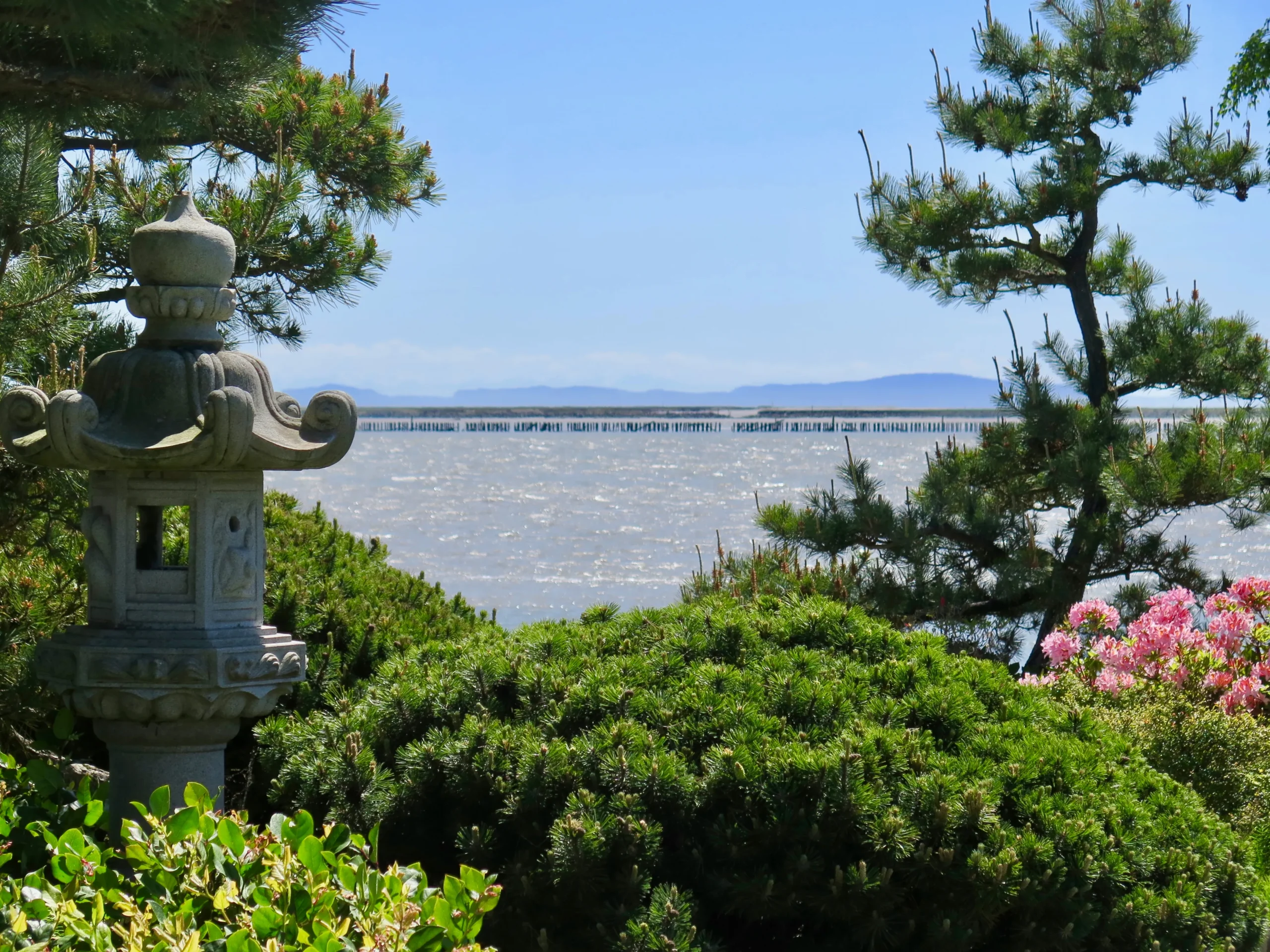 Summer is a great time to visit Gary Point Park.