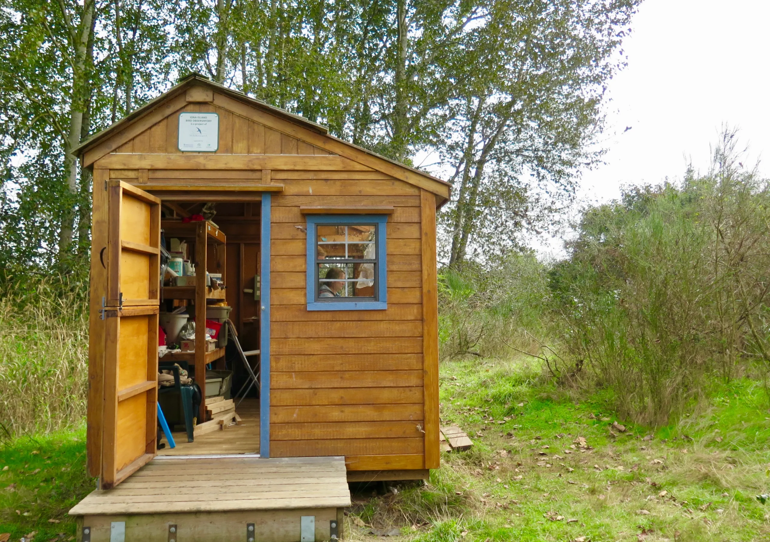 Look out for the bird observatory shed at Iona Beach Regional Park. 