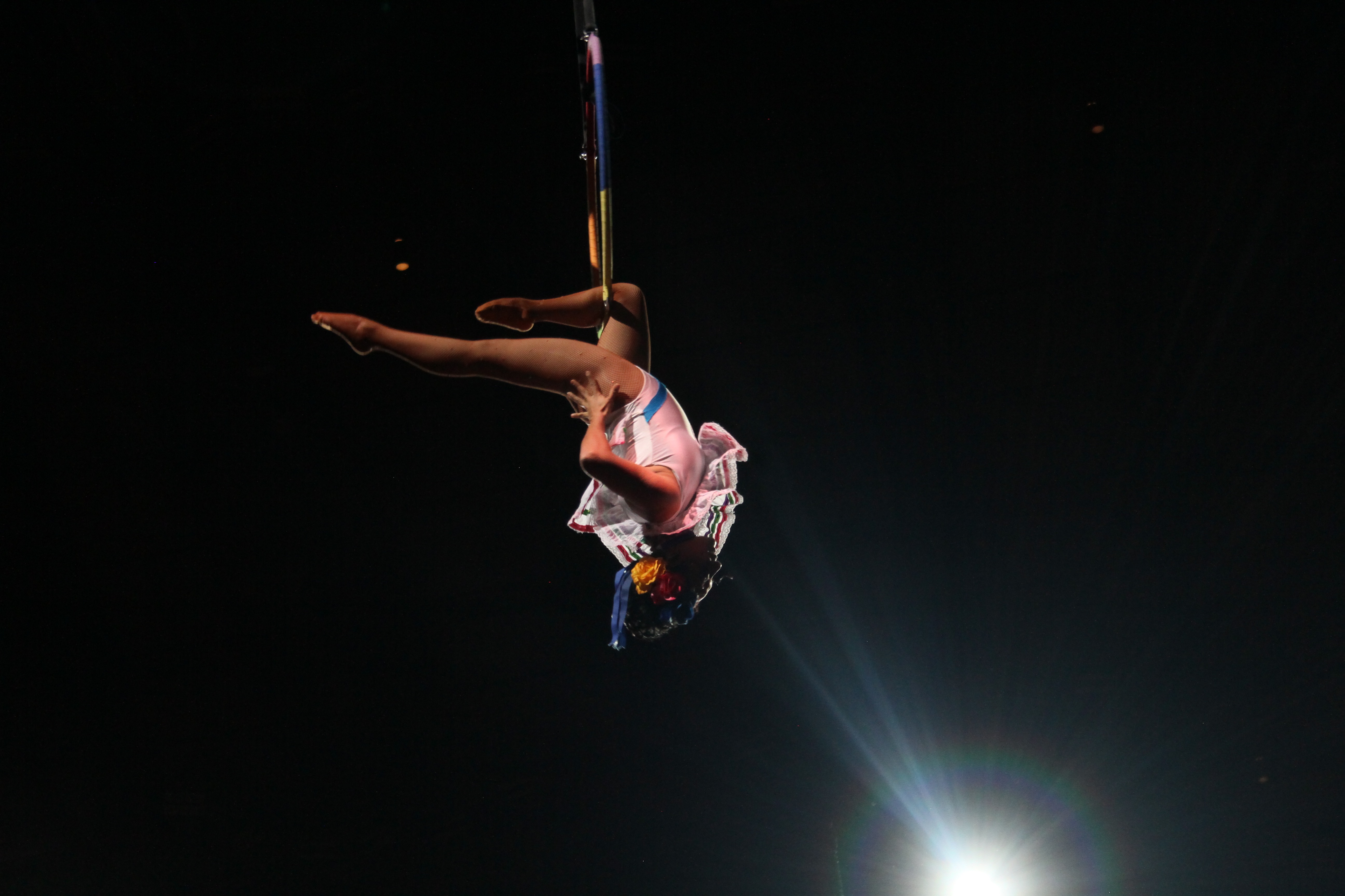 Royal Canadian Circus