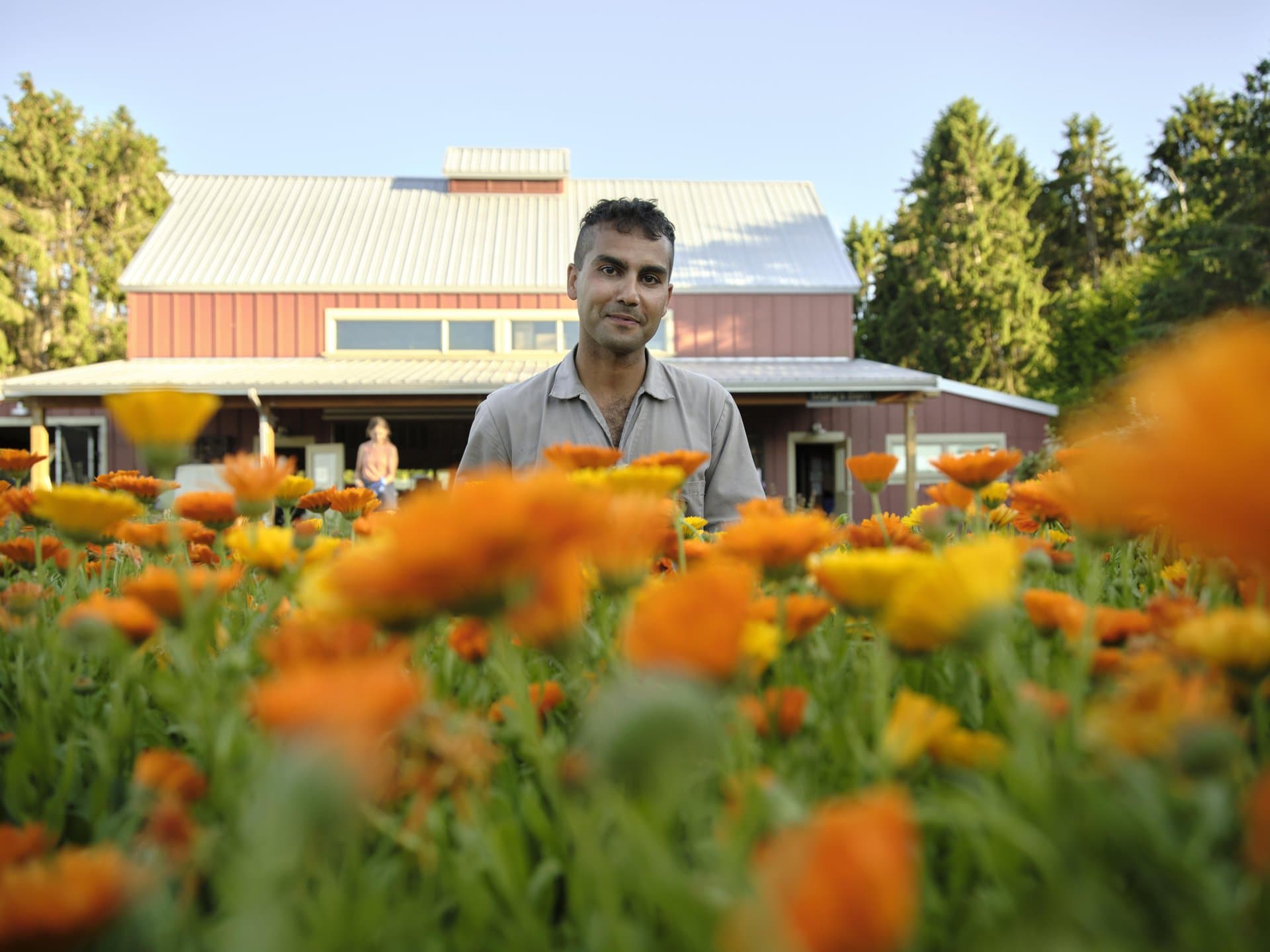 Shop Local Shop Local