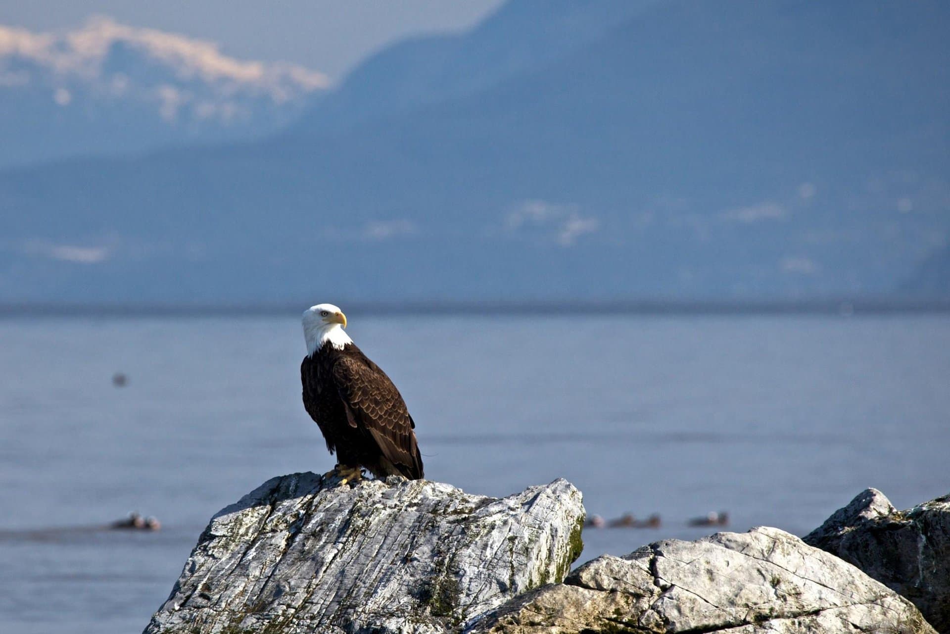 Storeys Café Storeys Café