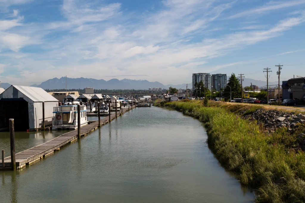 Middle Arm Trail