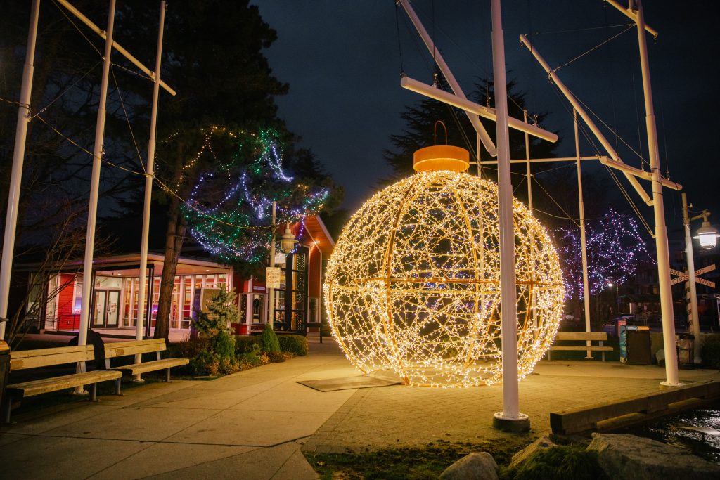 Winter in the Village