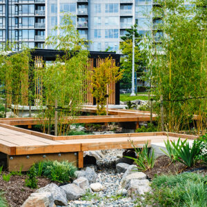 Aberdeen Neighbourhood Park Walking Path