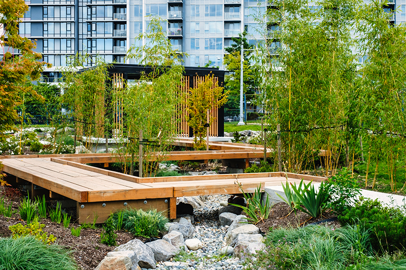Aberdeen Neighbourhood Park Walking Path