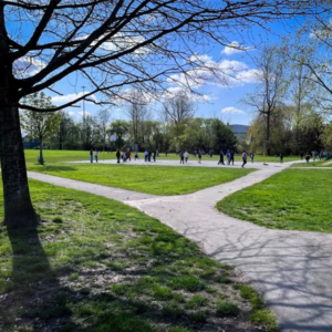 Hamilton Park