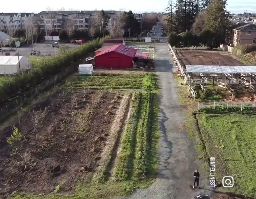 Kassa Farm