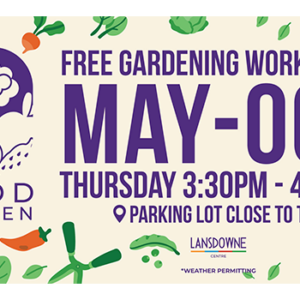 Lansdowne Centre event poster for Food Garden Workshops