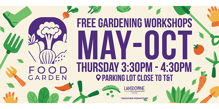 Lansdowne Centre event poster for Food Garden Workshops