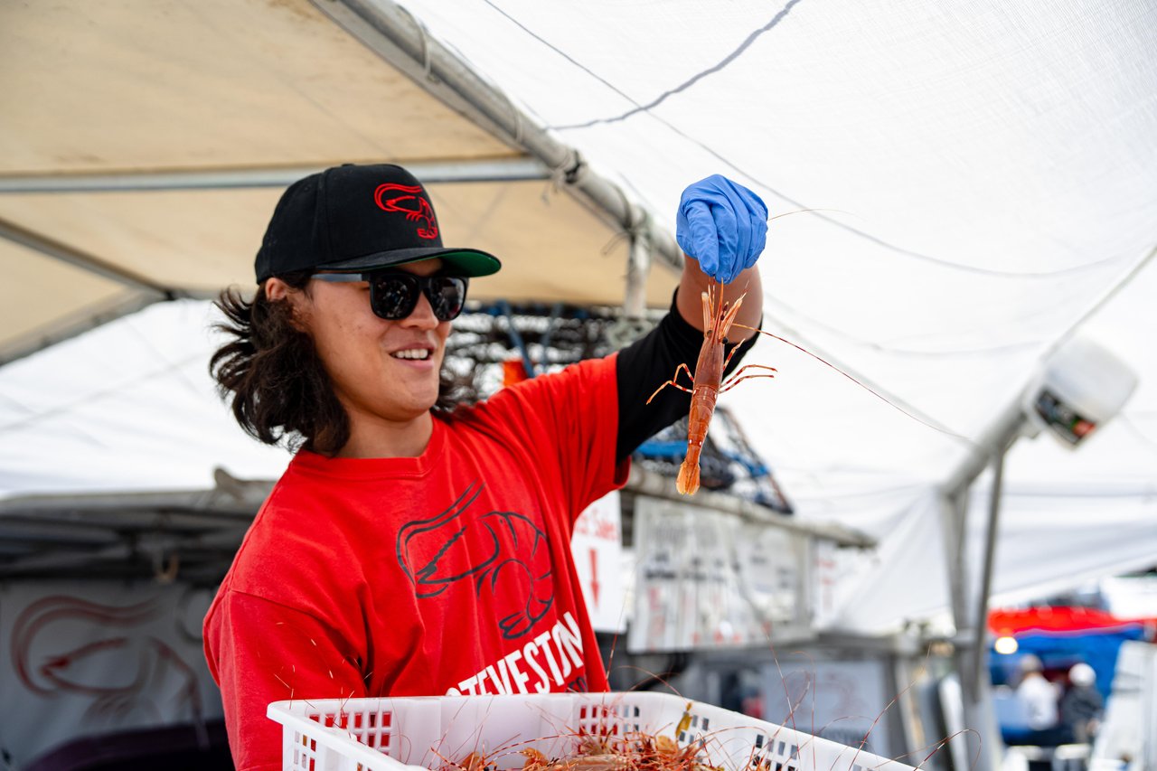Fisherman holding up a fresh caught live spot prawn.