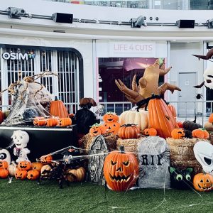 Halloween exhibition at Aberdeen Centre
