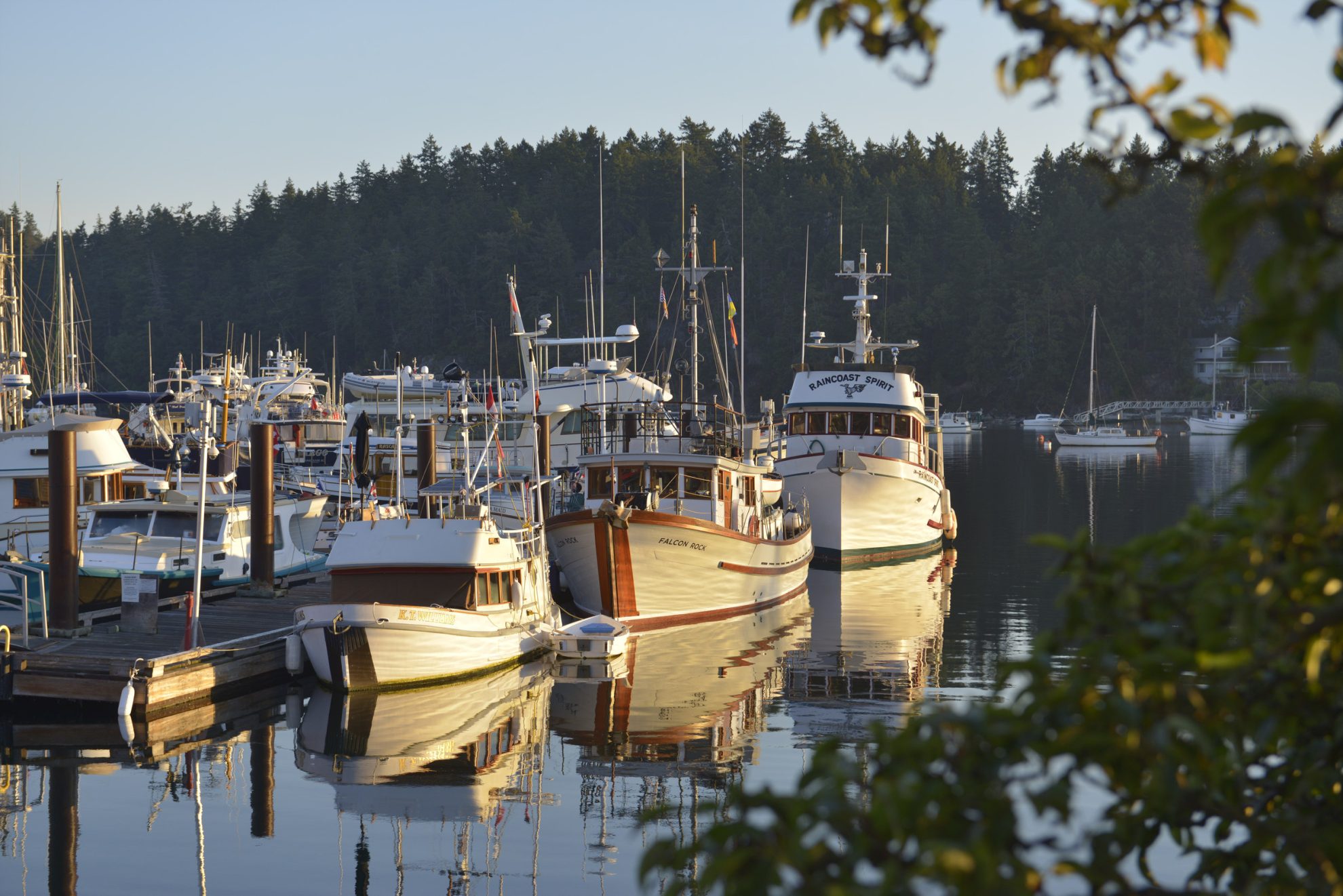 Restored wooden boats at the Britannia Shipyards National Historic Site.
