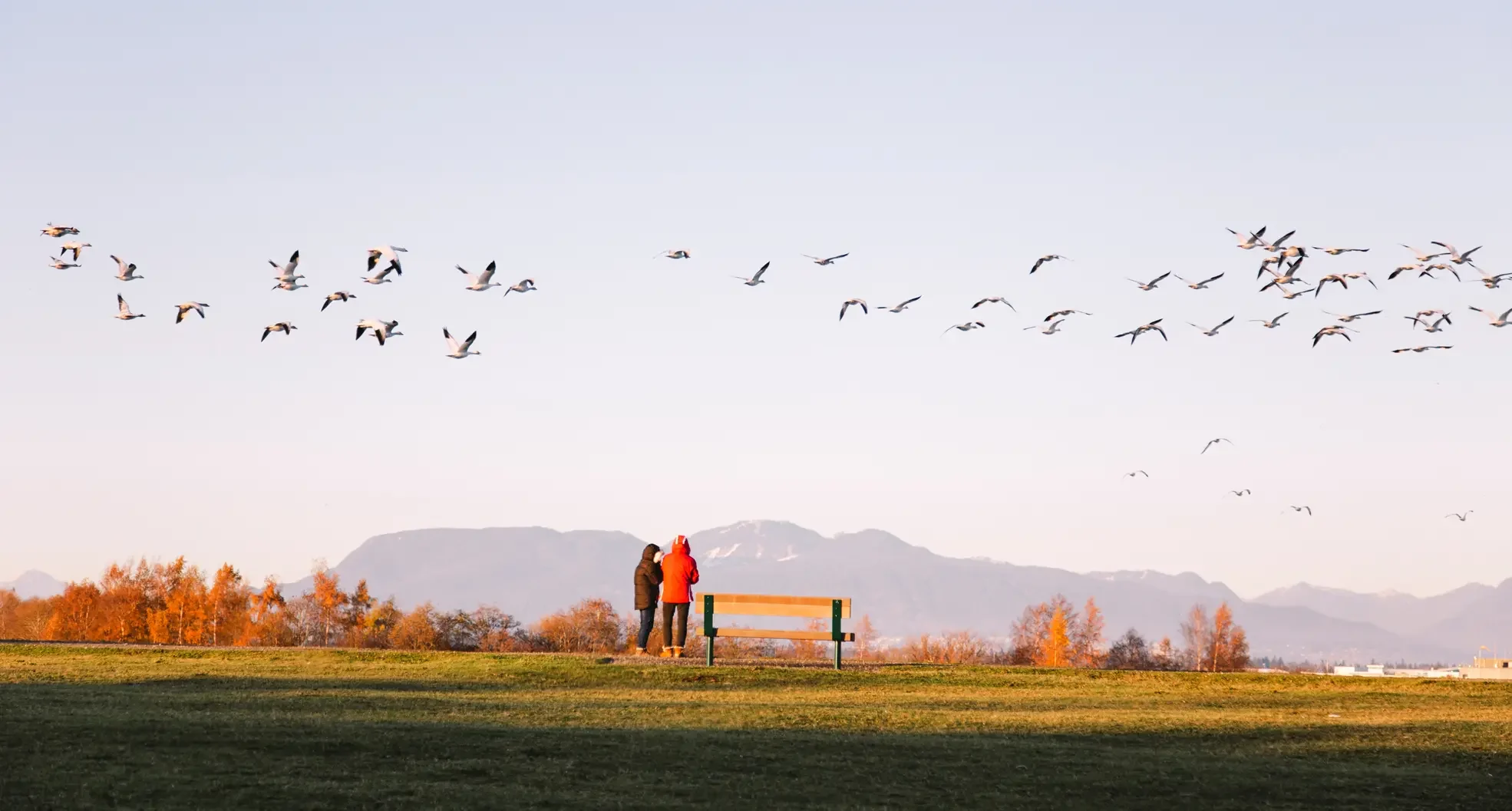 Birding in Richmond