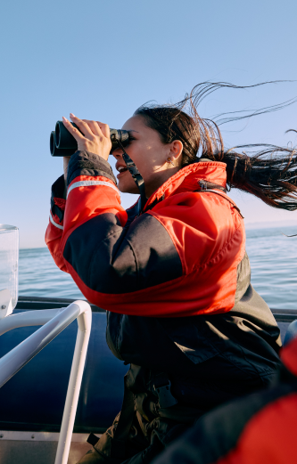 Whale Watching - Richmond